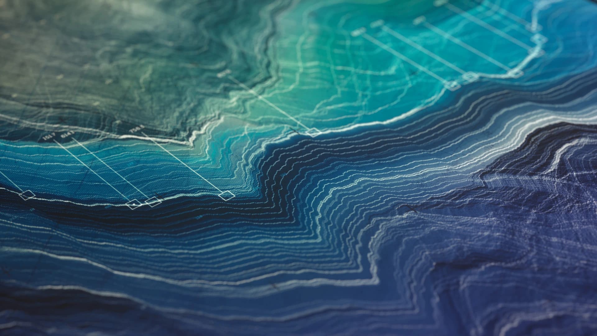 Man working with dog